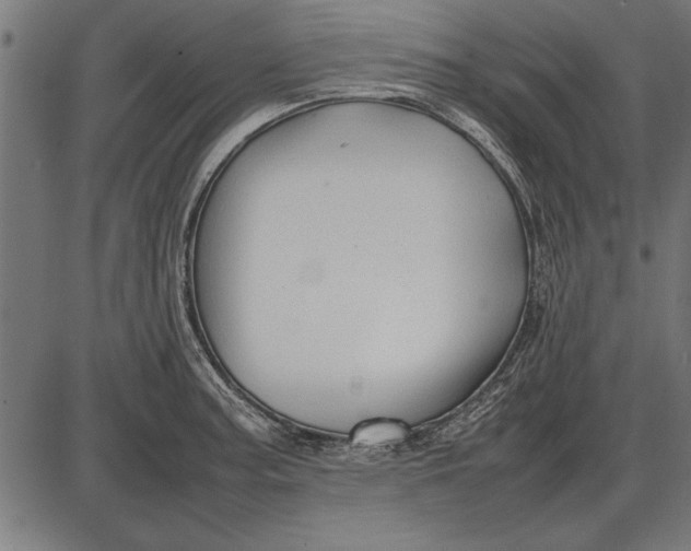 X0000086081187200704091253