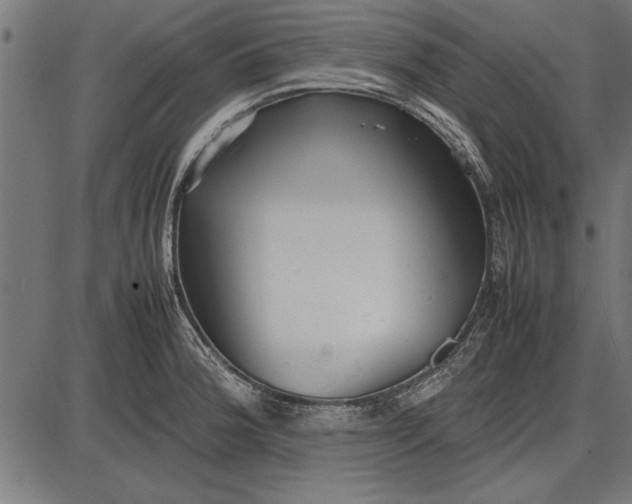 X0000086081188200704091253