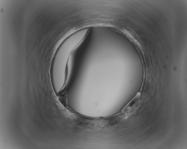 X0000086081189200704091253