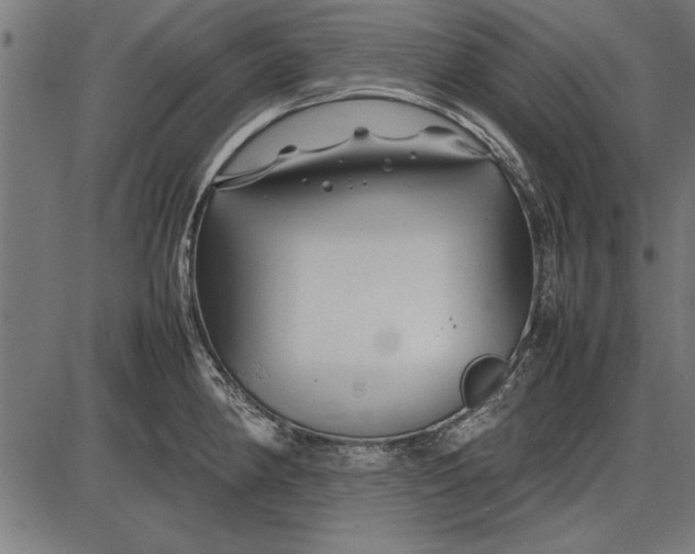 X0000086081190200704091253