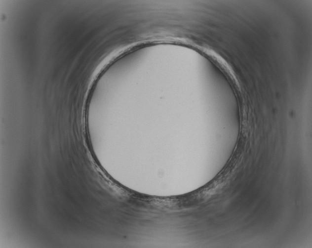 X0000086081191200704091253