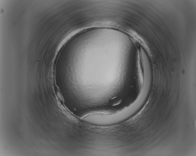 X0000086081192200704091253