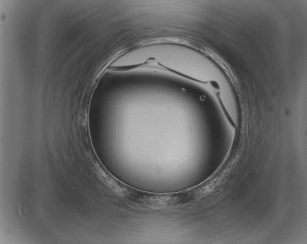 X0000086081193200704091253