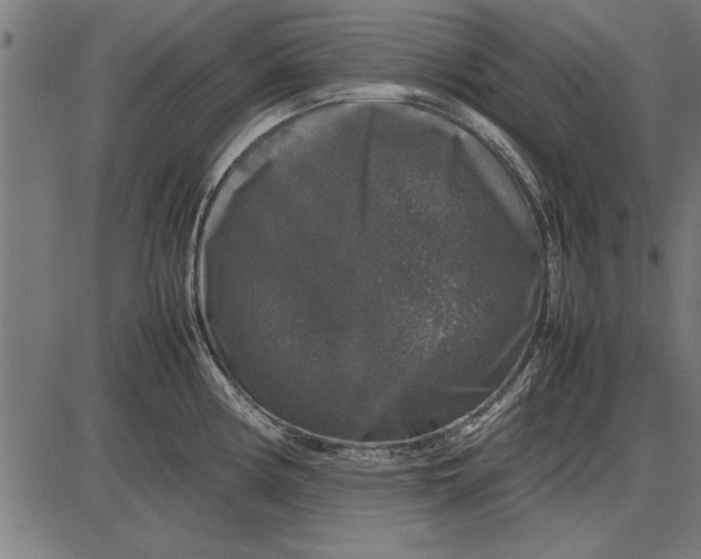 X0000086081194200704091253