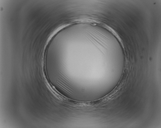 X0000086081195200704091253