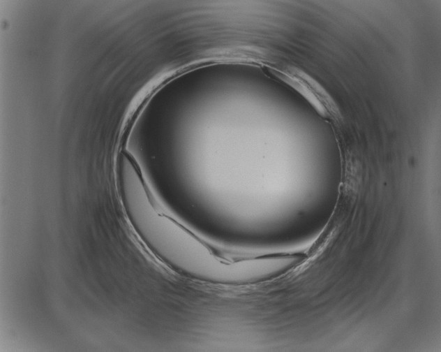 X0000086081196200704091253