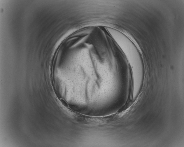 X0000086081197200704091253