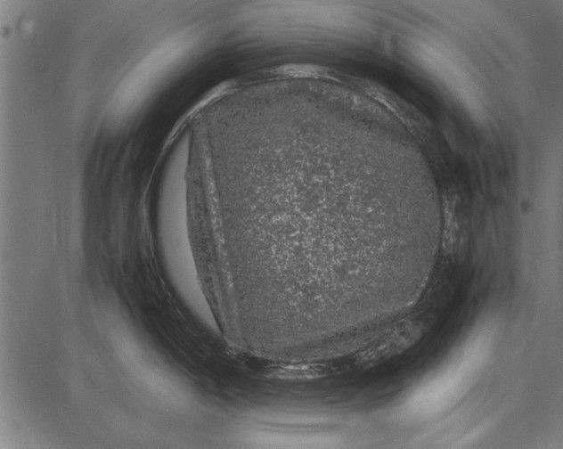 X0000086081198200704091253