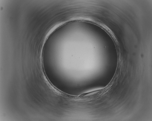 X0000086081199200704091253