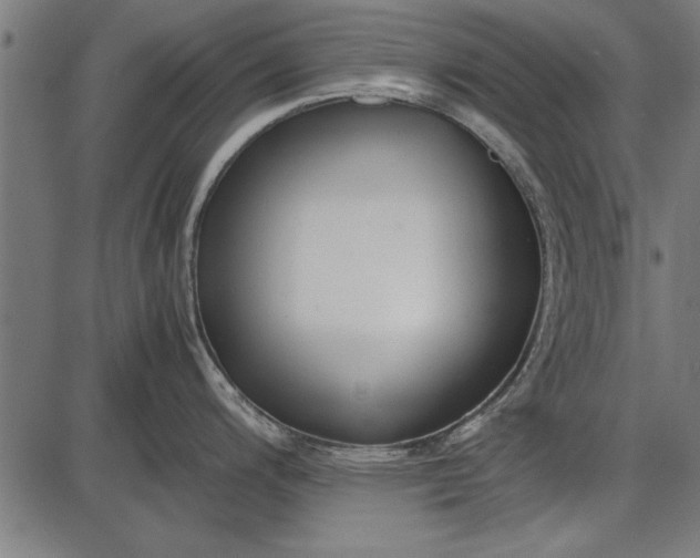 X0000086081200200704091253