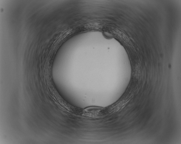 X0000086081201200704091252