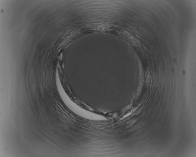 X0000086081202200704091252