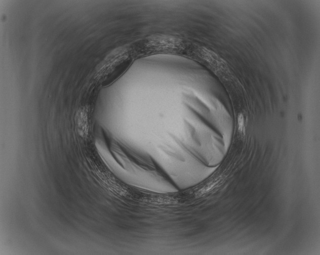 X0000086081203200704091252