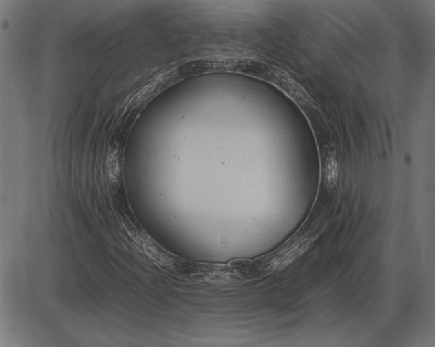 X0000086081204200704091252