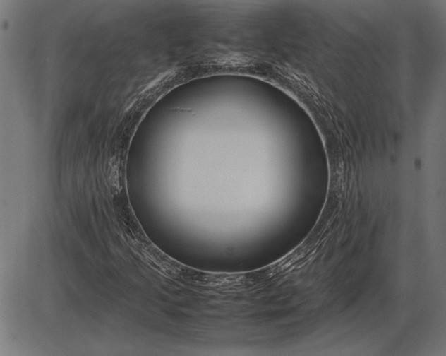 X0000086081205200704091252