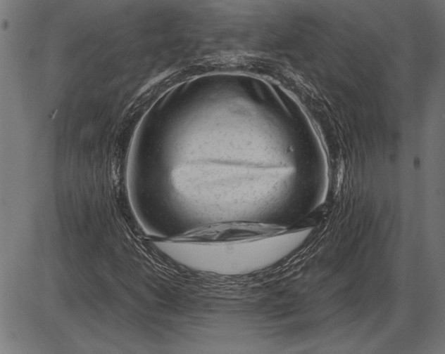 X0000086081206200704091252