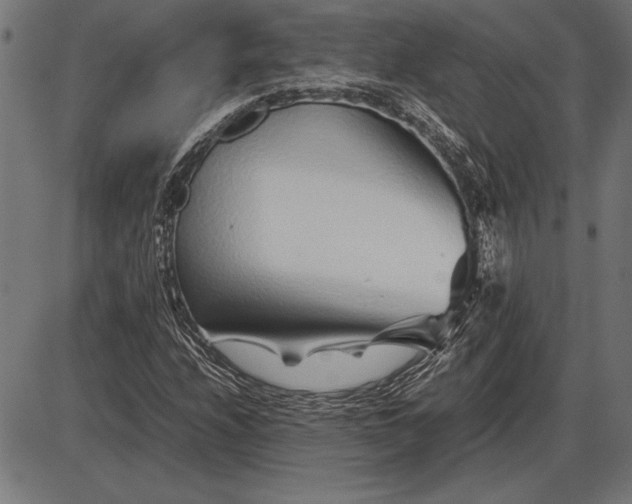 X0000086081208200704091252