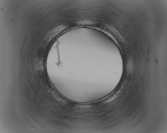 X0000086081209200704091252