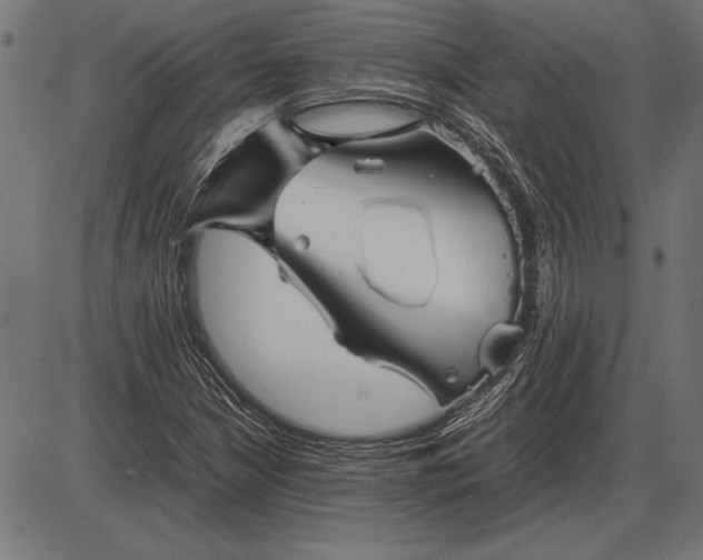 X0000086081210200704091252