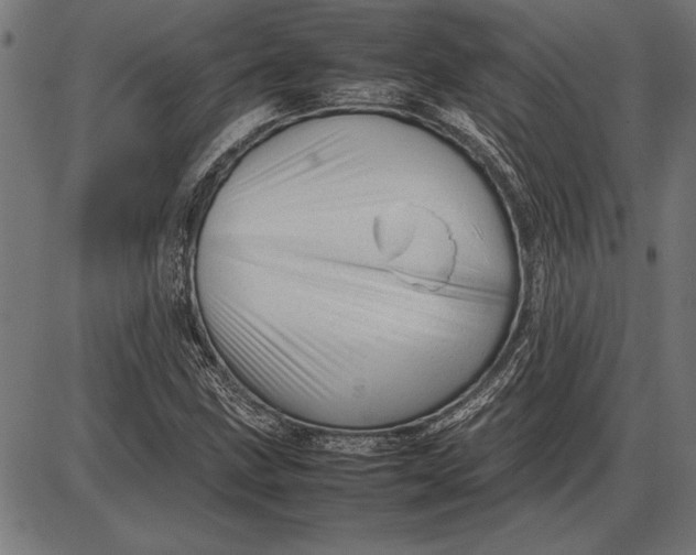 X0000086081211200704091252