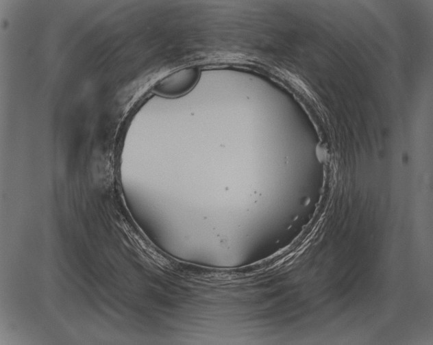 X0000086081212200704091252