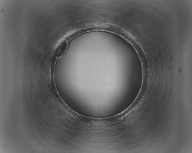 X0000086081214200704091252