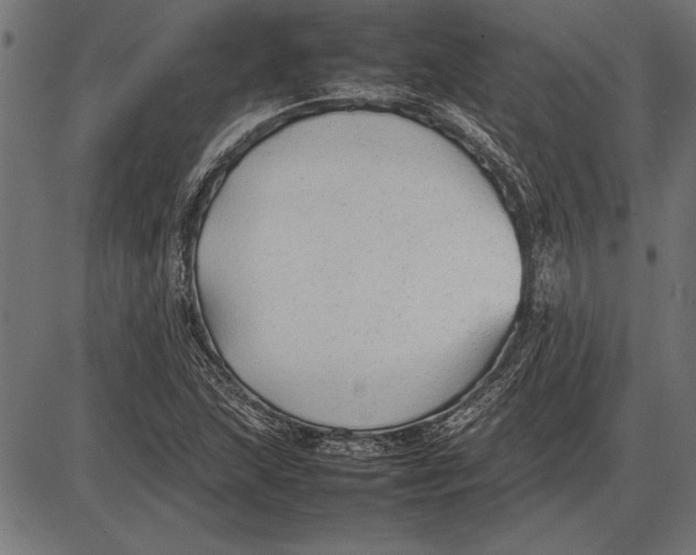 X0000086081215200704091252