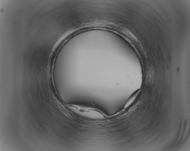 X0000086081216200704091252