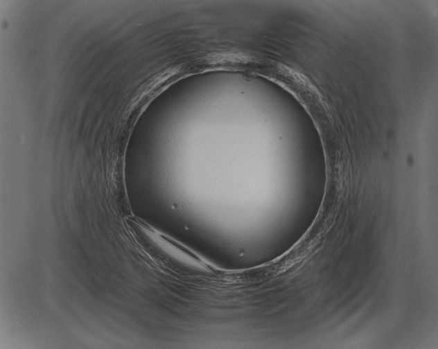 X0000086081217200704091252