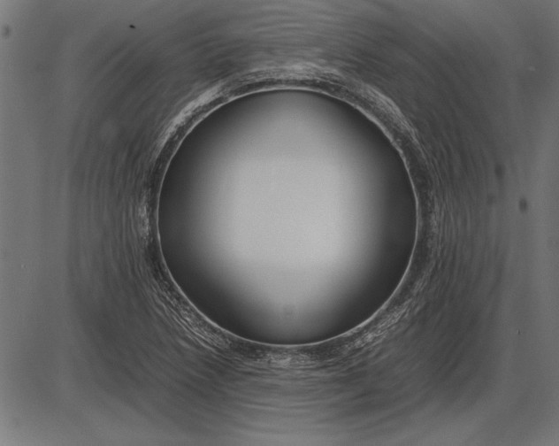 X0000086081218200704091252