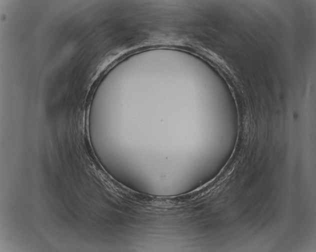 X0000086081220200704091252