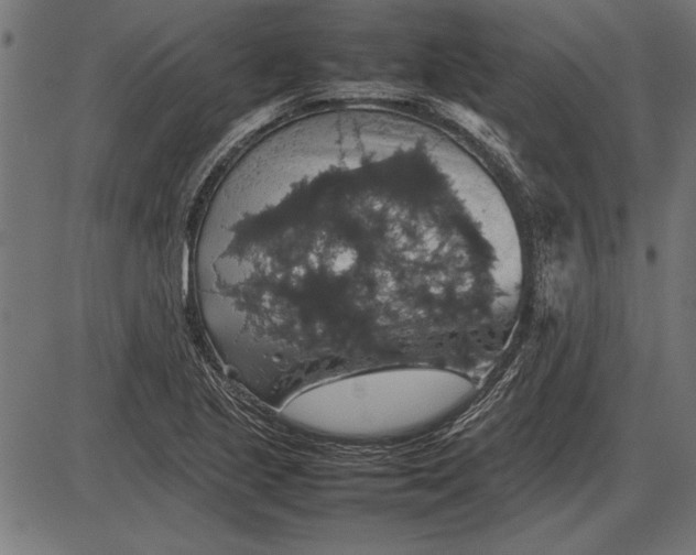 X0000086081221200704091252