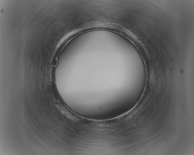 X0000086081222200704091252