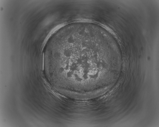 X0000086081223200704091252