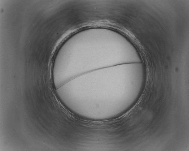 X0000086081224200704091252