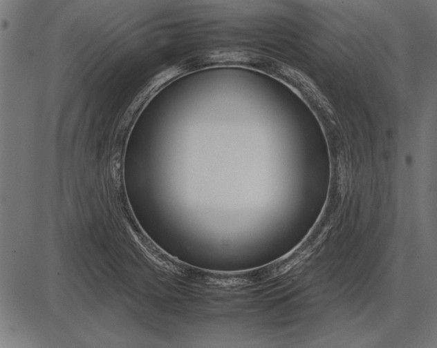 X0000086081225200704091252