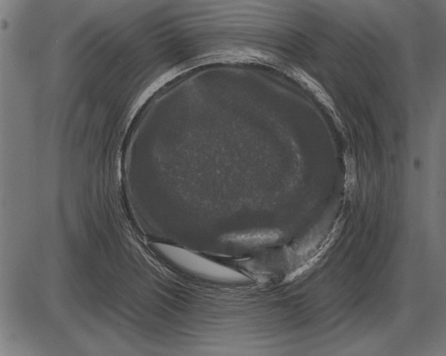 X0000086081226200704091252