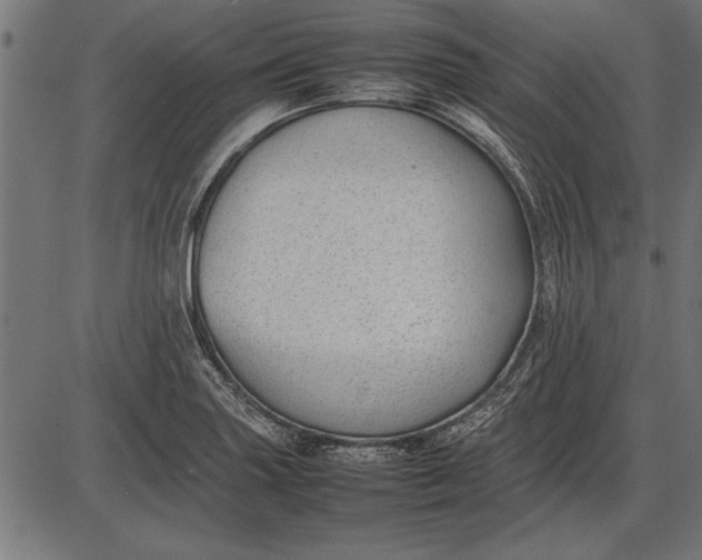 X0000086081227200704091252