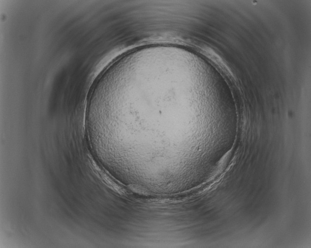 X0000086081228200704091252