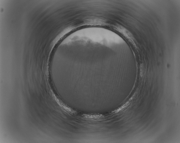 X0000086081229200704091252