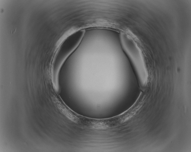 X0000086081230200704091252