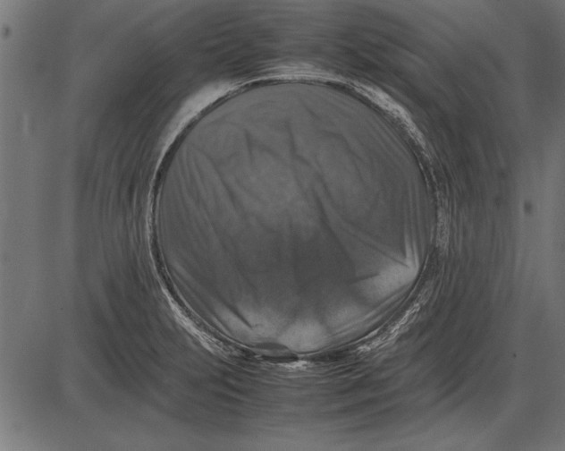 X0000086081231200704091253