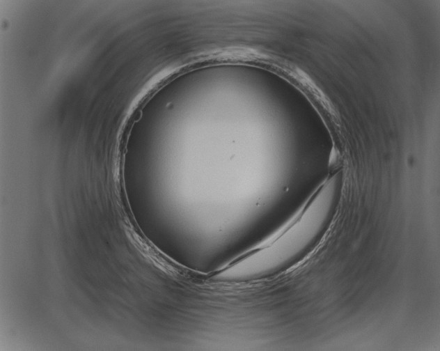 X0000086081232200704091253