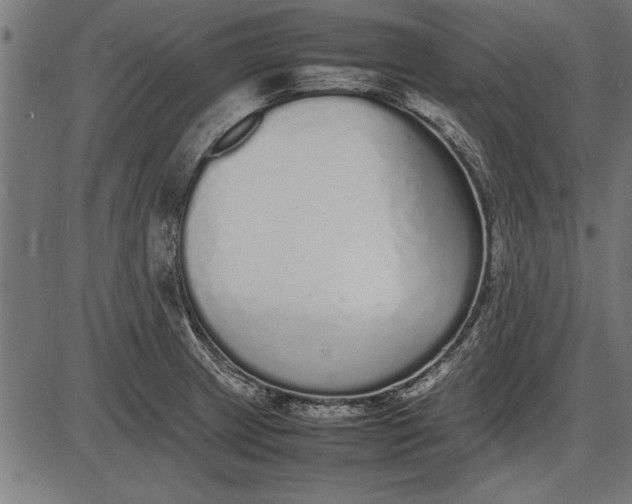 X0000086081233200704091253