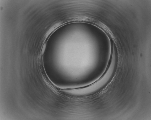 X0000086081234200704091253