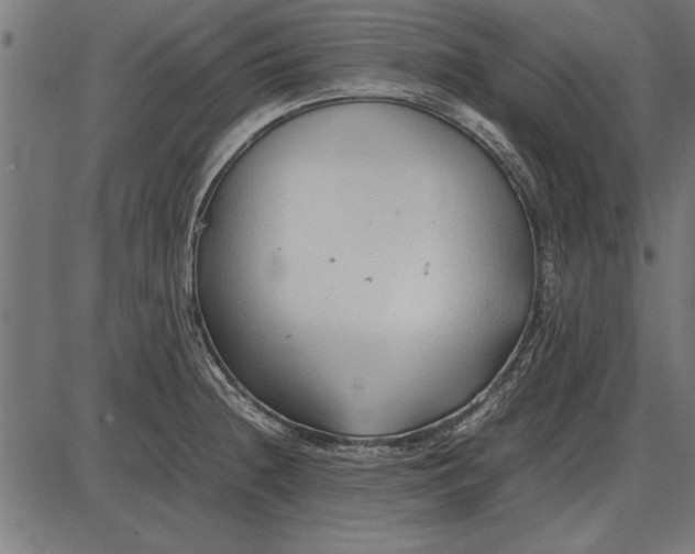 X0000086081236200704091253