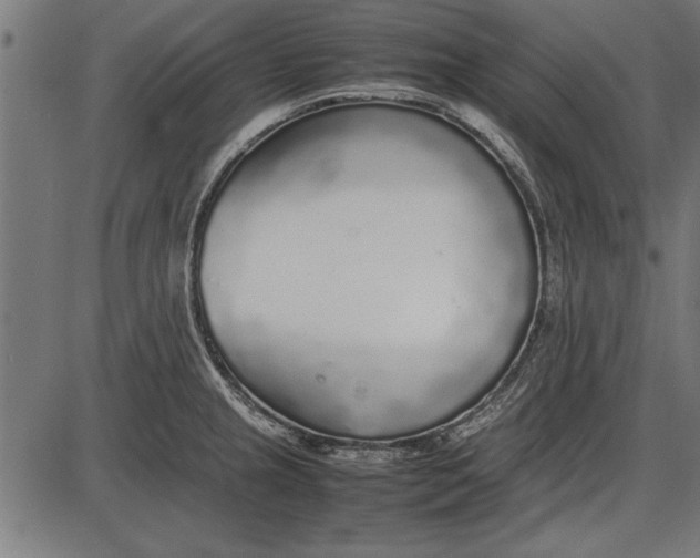 X0000086081237200704091253