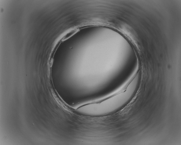 X0000086081238200704091253