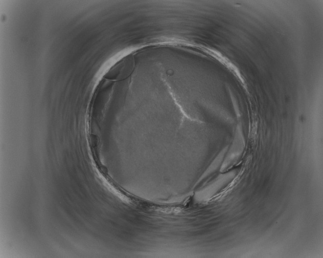 X0000086081239200704091253