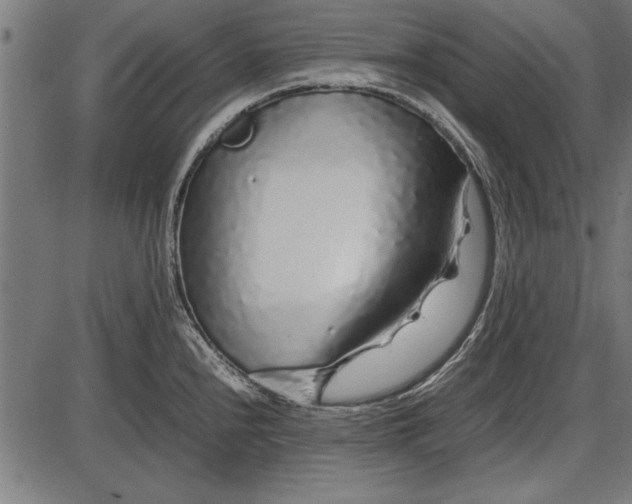 X0000086081240200704091253